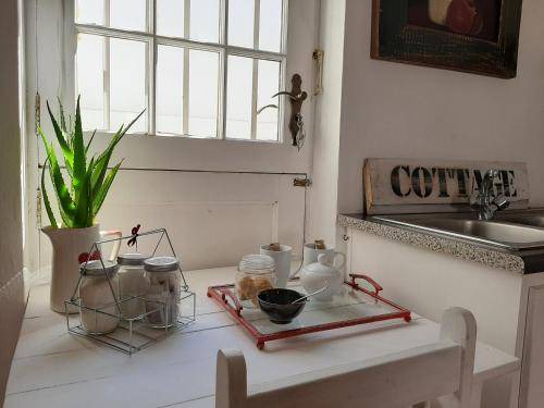 Worcester Central Apartment | 30 m² Apartment ∙ 1 bedroom ∙ 2 guests