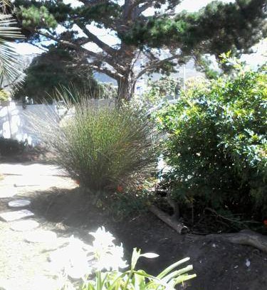 Sandbaai House | 30 m² House ∙ 1 bedroom ∙ 2 guests