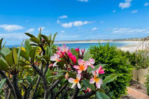 Emu Bay House | 300 m² House ∙ 3 bedrooms ∙ 8 guests