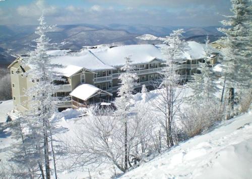Snowshoe Apartment | 301 D Summit Dr. , Snowshoe Mountains, WV 26209
