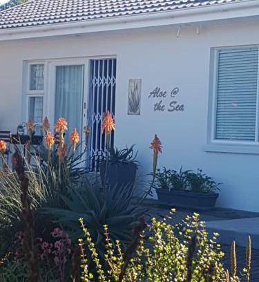 Linkside Apartment | 32 m² Apartment ∙ 1 bedroom ∙ 2 guests