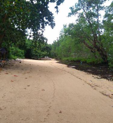 Bunaken Cabin | 32 m² Lodge ∙ 4 guests