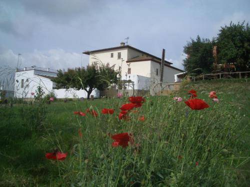 Les Franqueses del Valles House | 35 m² House ∙ 4 guests