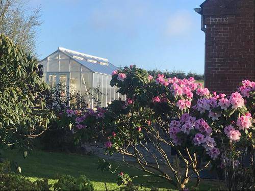 Draaby Bed & Breakfast | 36 m² Bed and breakfast ∙ 4 guests
