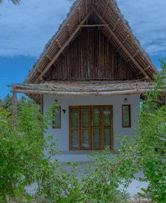 Pingwe Hotel | 36 m² Hotel ∙ 2 guests
