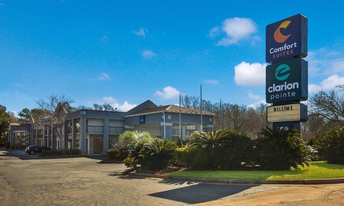Forsyth Hotel | 37 m² Hotel ∙ 127 guests