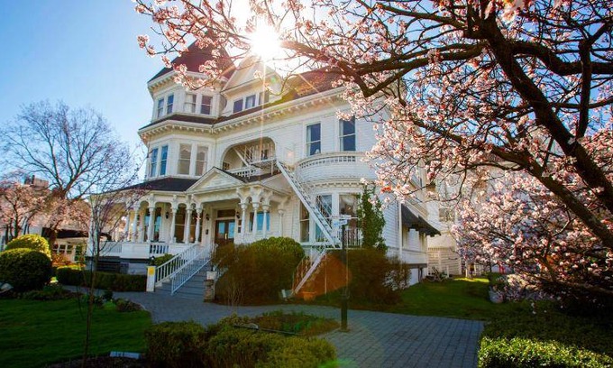 Inner Harbour Hotel | 39 m² Hotel ∙ 4 guests