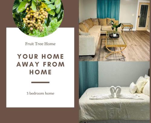 Orlando House | 3bdrm Fruit Tree Home near downtown Orlando