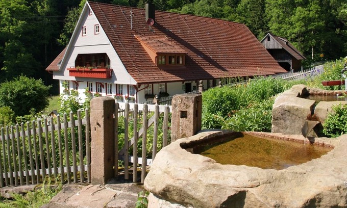 Schenkenzell Apartment | 4 Appartement im Hof, 36qm, max. 2 Personen