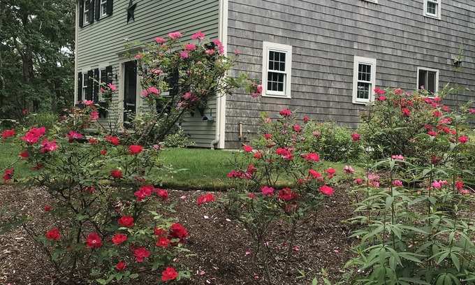 Brewster House | 4 Bedroom, 3.5 Bath in Brewster, near Dennis line