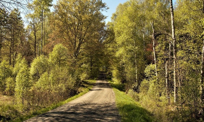 Hovmantorp House | 4 person holiday home in HOVMANTORP