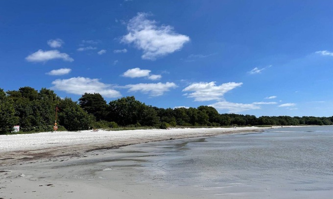 Falkvik House | 4 star holiday home in SÖLVESBORG