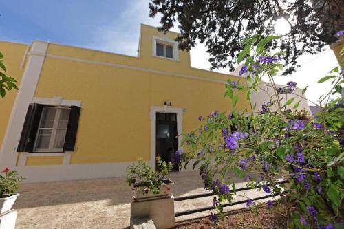 Montalbano Apartment | 40 m² Apartment ∙ 1 bedroom ∙ 5 guests