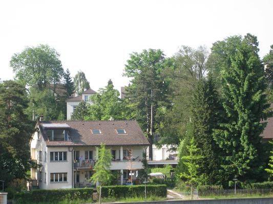 Lucerne Apartment | 45 m² Apartment ∙ 1 bedroom ∙ 2 guests