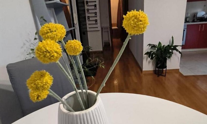 Zapresic Apartment | 45 m² Apartment ∙ 1 bedroom ∙ 2 guests