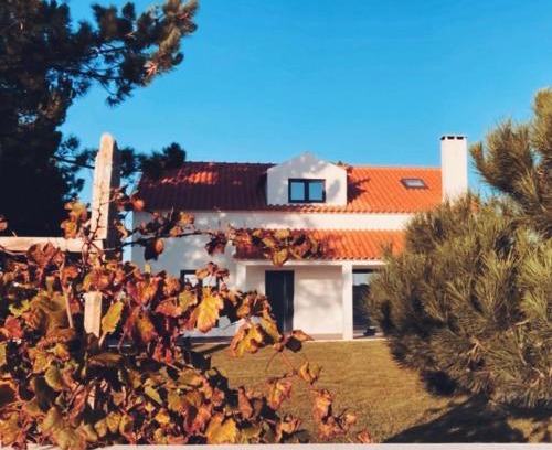 Assafora Bed & Breakfast | 45 Pines West