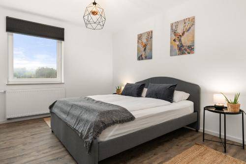 Oberzwehren Apartment | 49 m² Apartment ∙ 1 bedroom ∙ 3 guests