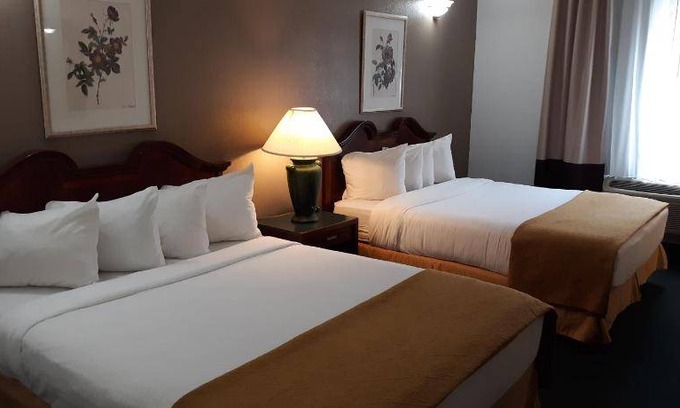 Newberry Hotel | 49 m² Hotel ∙ 4 guests