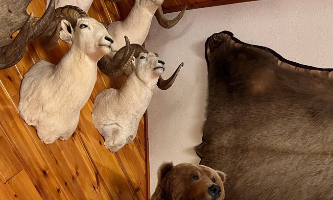 Taku - Campbell Cabin | 5 BR Alaska Trophy Lodge