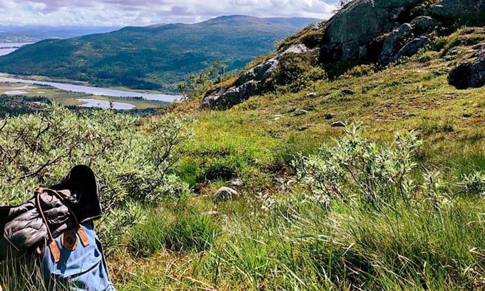 Are Municipality House | 5 person holiday home in TEGEFJÄLL