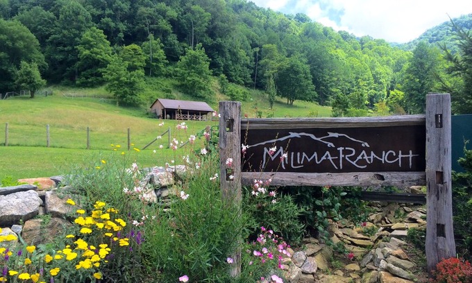 Clyde Cabin | 5 star luxury cabin*private hiking trails on 400 acres* Stunning southern views.