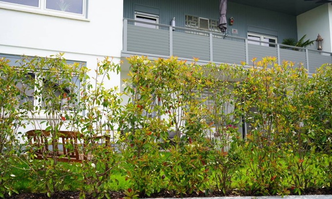 Leutershausen Apartment | 50 m² Apartment ∙ 1 bedroom ∙ 2 guests
