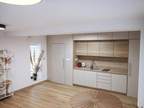 Ostrava Apartment | 50 m² Apartment ∙ 1 bedroom ∙ 4 guests