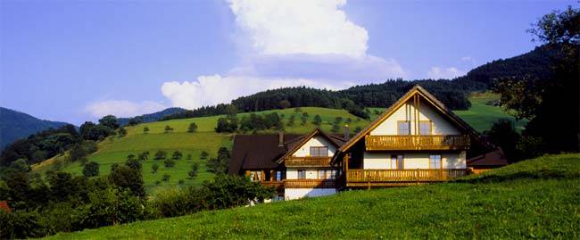 Glottertal Apartment | 50 m² Apartment ∙ 2 bedrooms ∙ 4 guests