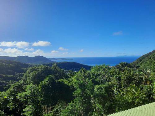 Sainte-Luce Apartment | 50 m² Apartment ∙ 1 bedroom ∙ 2 guests