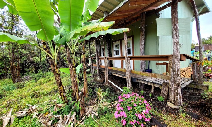 Fern Forest Cabin | #5Cabin w/PRIVATE indoor BATHROOM TV MICROWAVE