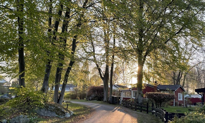 Mollebjorke House | 6 person holiday home in SÖLVESBORG