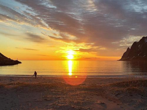 Mefjordvær House | 6 person holiday home in Senjahopen-By Traum