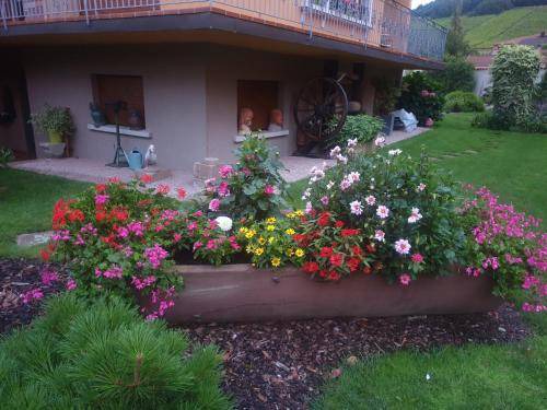 Andlau Apartment | 60 m² Apartment ∙ 1 bedroom ∙ 2 guests