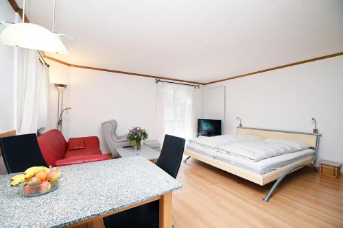 Vulpera Apartment | 6303 Komplett renoviertes und stilvolles Studio zum Wohlfuehlen