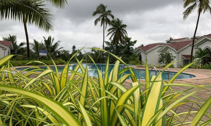 Siolim Apartment | 65 m² Apartment ∙ 1 bedroom ∙ 3 guests