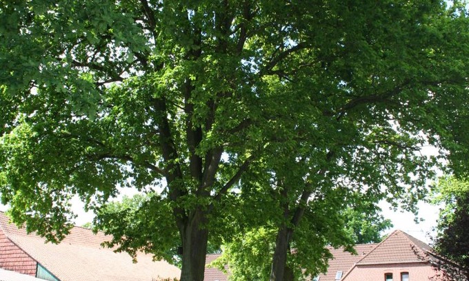 Region Hannover District Apartment | 70 m² Apartment ∙ 1 bedroom ∙ 4 guests