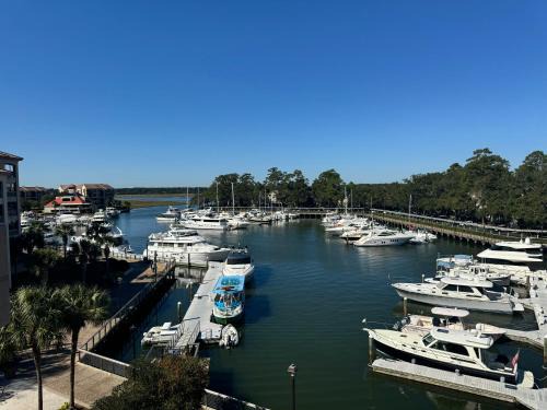 Shelter Cove House | 7332 Harbourside III Villas