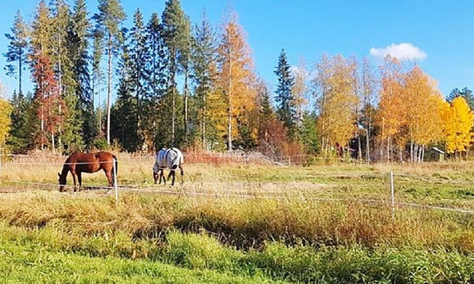 Burea House | 8 person holiday home in Bureå-By Traum