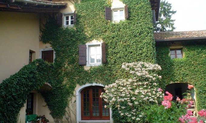 Clauiano Apartment | 80 m² Apartment ∙ 2 bedrooms ∙ 4 guests