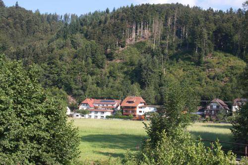 Winden im Elztal Apartment | 85 m² Apartment ∙ 2 bedrooms ∙ 5 guests