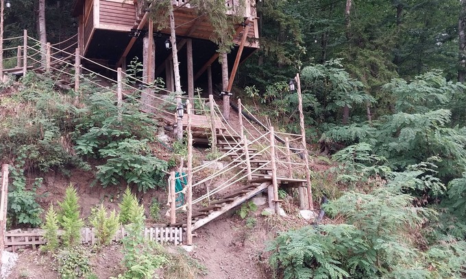 Trabzon House | Ağacevkilat