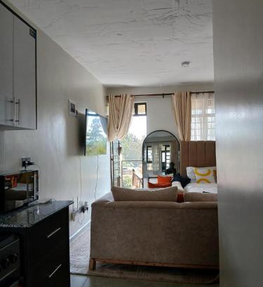 Ngong Apartment | A cozy spacious studio apartment with a balcony