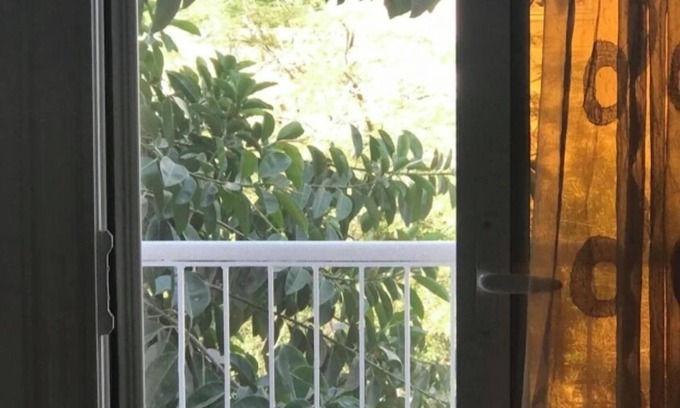 Maadi Apartment | a cozy warm and clean apartment in a residential green area.