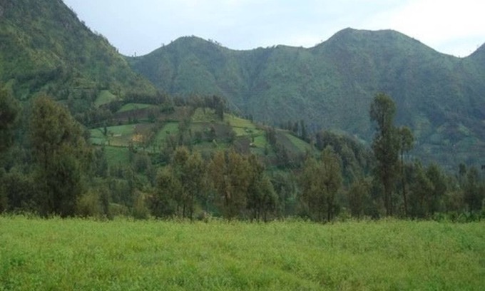 Ngadisari House | A double bedroom near Rehat Bromo Rst. & Warung Rinjani
