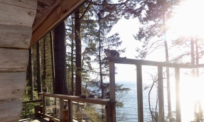 Juan de Fuca Electoral Area House | A Heritage West Coast Log Home With Private Beach