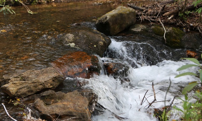 Hiawassee Cabin | A Hiker's Paradise Private Cabin on Small, Rushing Stream Near A/T-