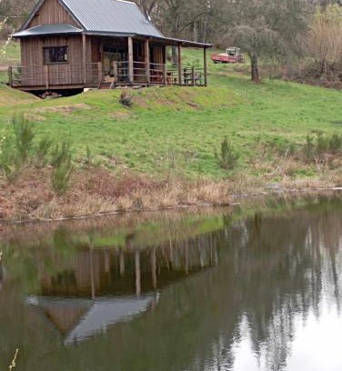 Alligny-en-Morvan Other | A la cabane des Bois dessus Tiny Gite