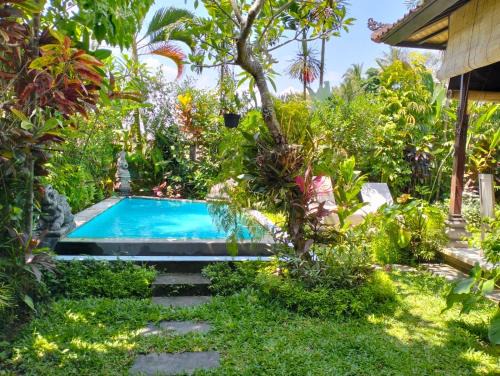 Ubud Villa | A Lush Tropical Villa in Ubud Rice Fields