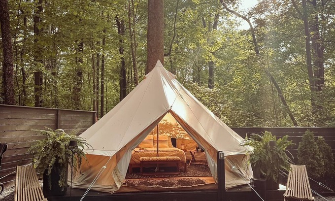 Denver House | A luxurious glamping tent nestled in the trees.