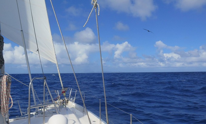 Caneel Bay Boat Rental | A Moveable Feast II